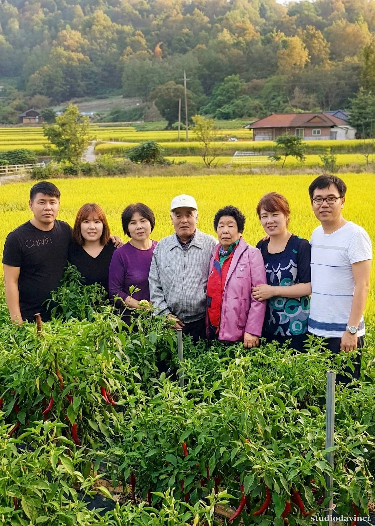사진합성 대표 작업