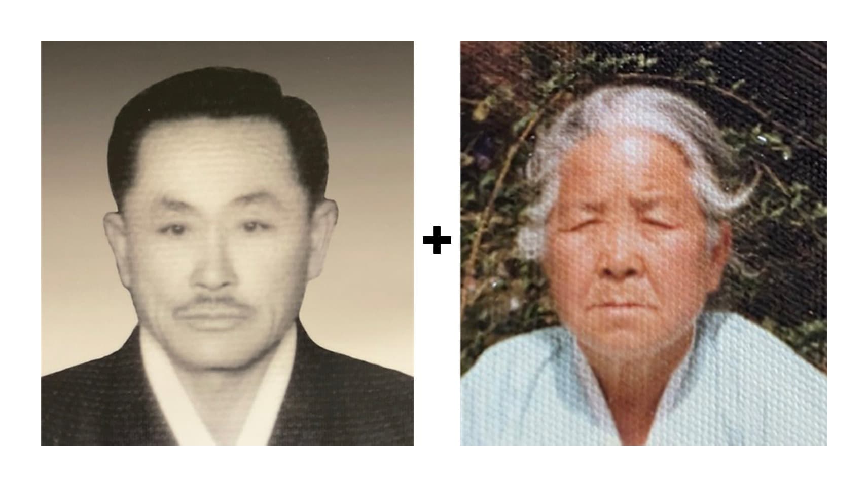 납골용 두 분 합성 — 옛 흑백과 변색 컬러를 벚꽃 한 자리로 4R — before