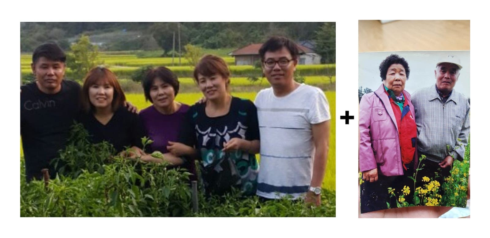납골용 가족 합성 — 자녀 다섯 분과 노부부, 논밭에 7인 4R — before